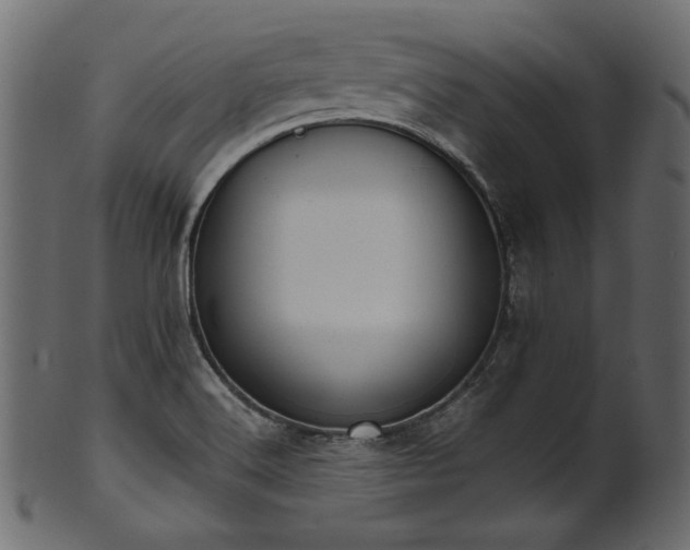 X0000101991516200807181136