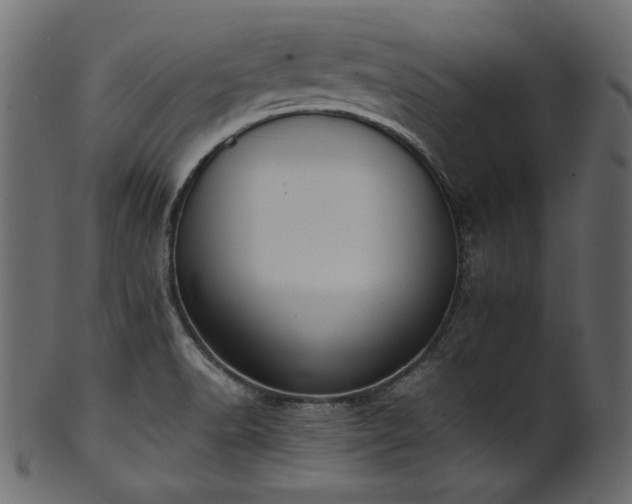 X0000101991518200807181136