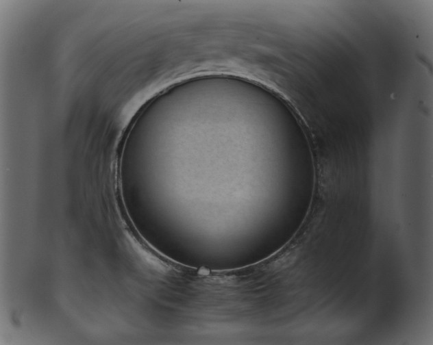 X0000101991519200807181136