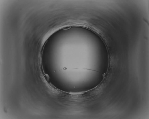 X0000101991520200807181136