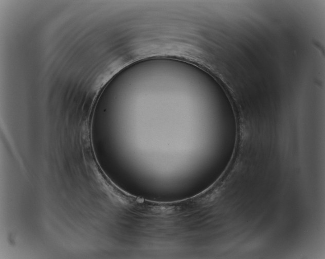 X0000101991521200807181136
