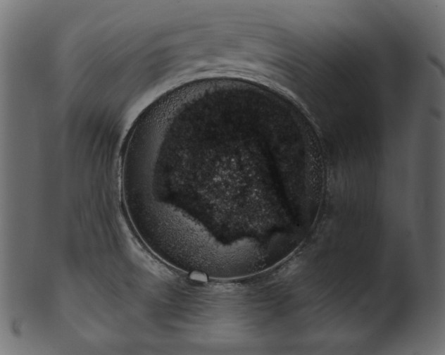 X0000101991522200807181136