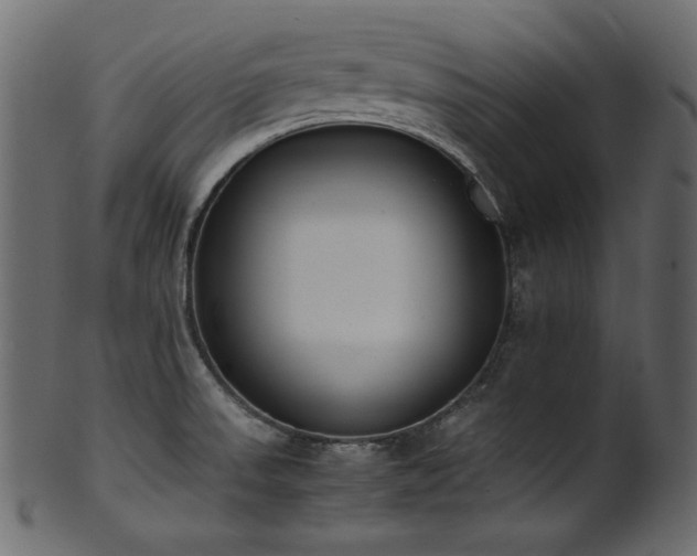 X0000101991523200807181136