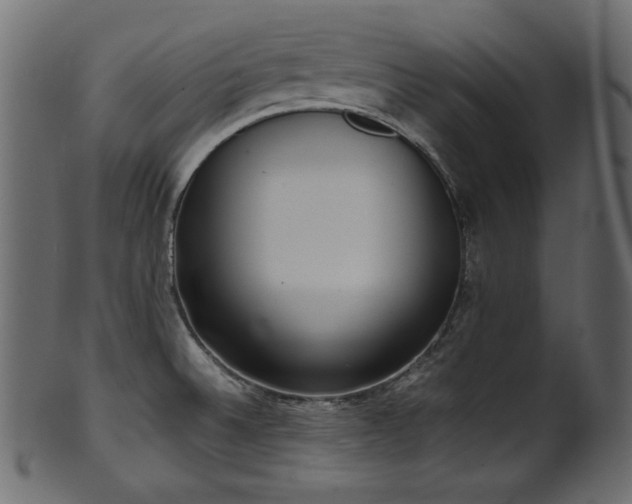 X0000101991524200807181136