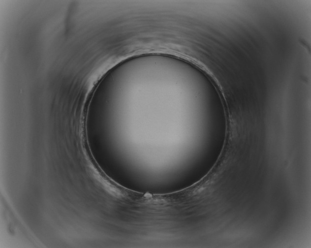 X0000101991525200807181136
