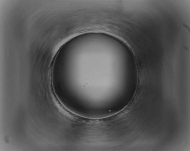 X0000101991526200807181136