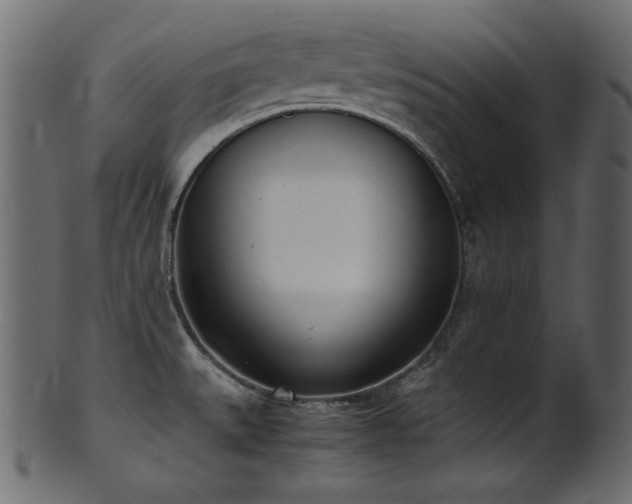 X0000101991527200807181136