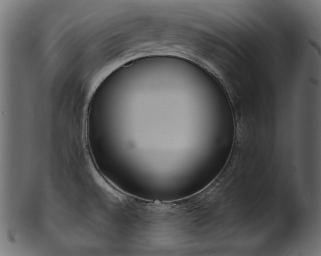 X0000101991528200807181136