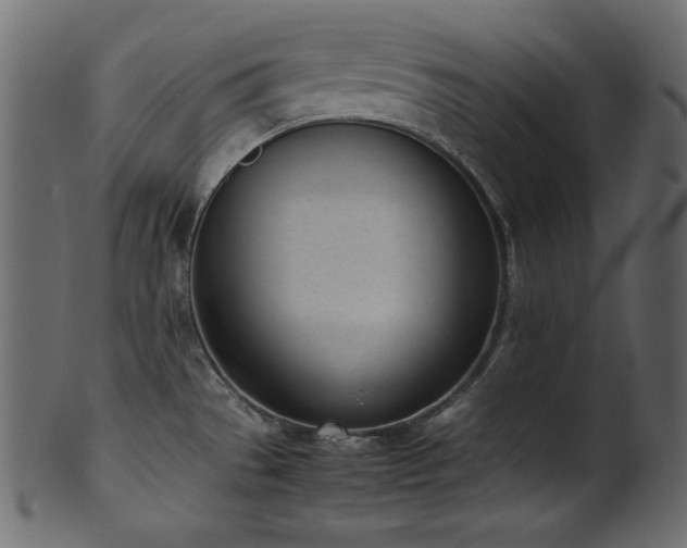X0000101991529200807181136
