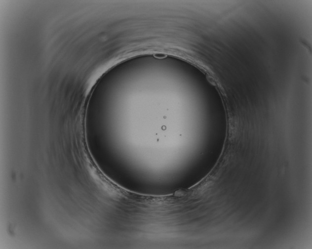 X0000101991530200807181136
