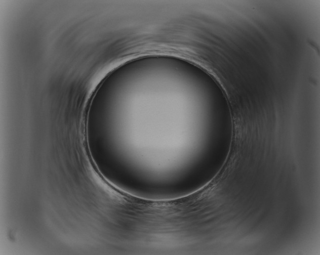 X0000101991531200807181136