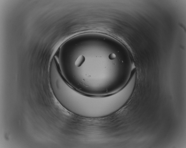 X0000101991532200807181136