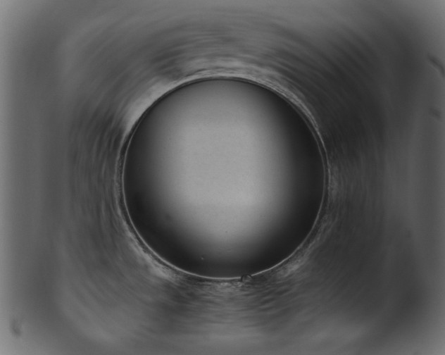 X0000101991533200807181136