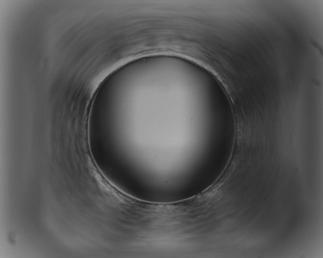 X0000101991534200807181136