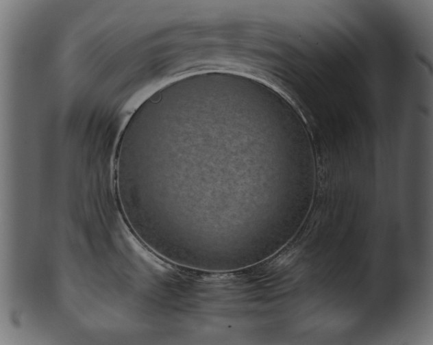 X0000101991535200807181136