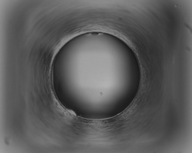 X0000101991536200807181136