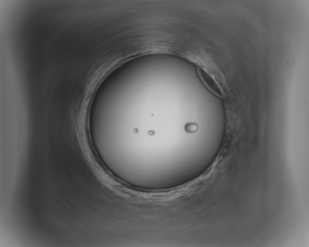 X0000101990001200807251235