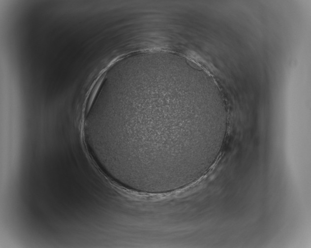 X0000101990002200807251235