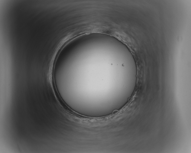 X0000101990003200807251235