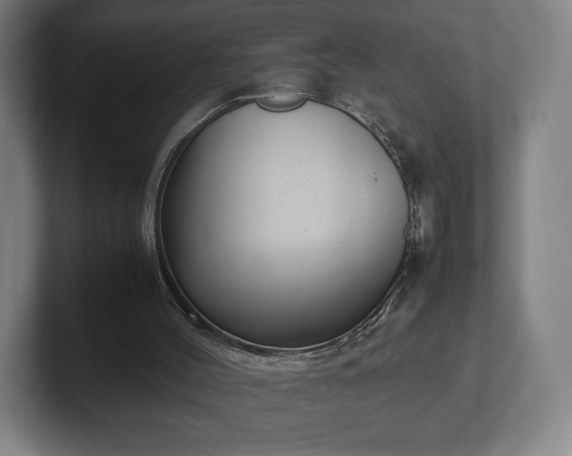 X0000101990004200807251235