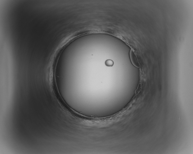 X0000101990005200807251235