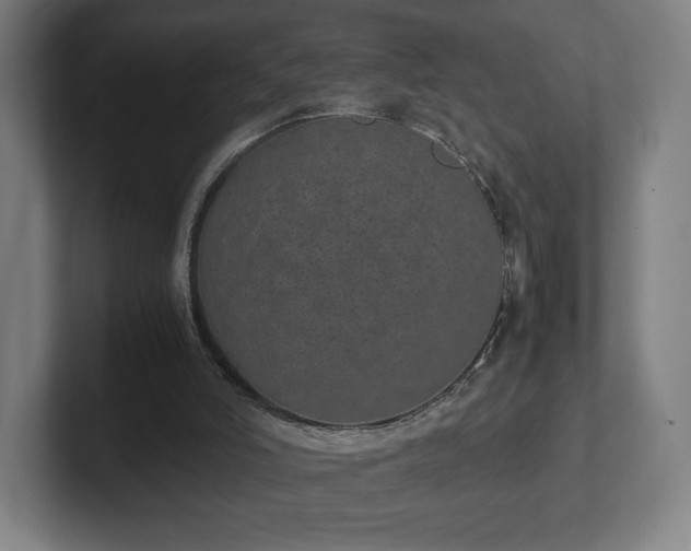 X0000101990006200807251235