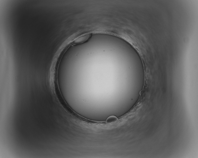 X0000101990007200807251235