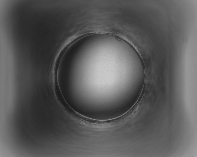 X0000101990008200807251235