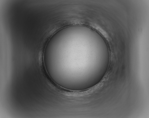 X0000101990009200807251235