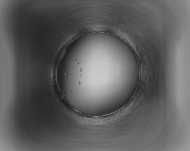 X0000101990010200807251235