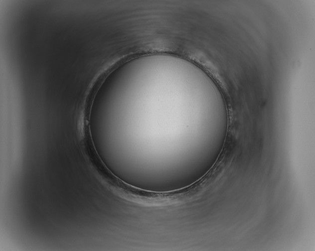 X0000101990012200807251235