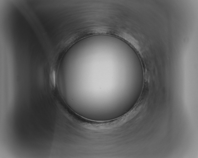 X0000101990013200807251235