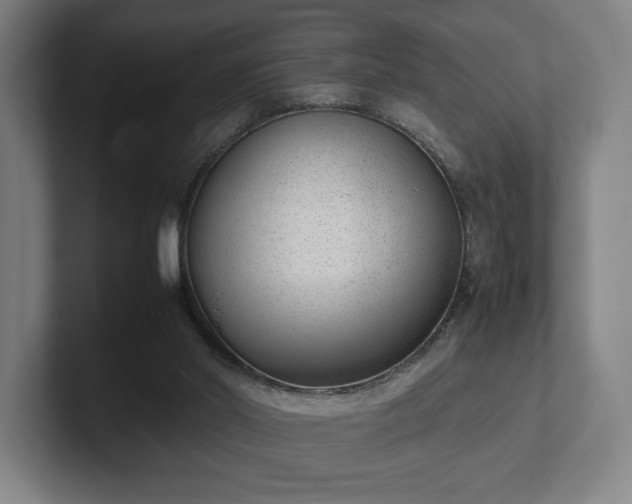 X0000101990014200807251235