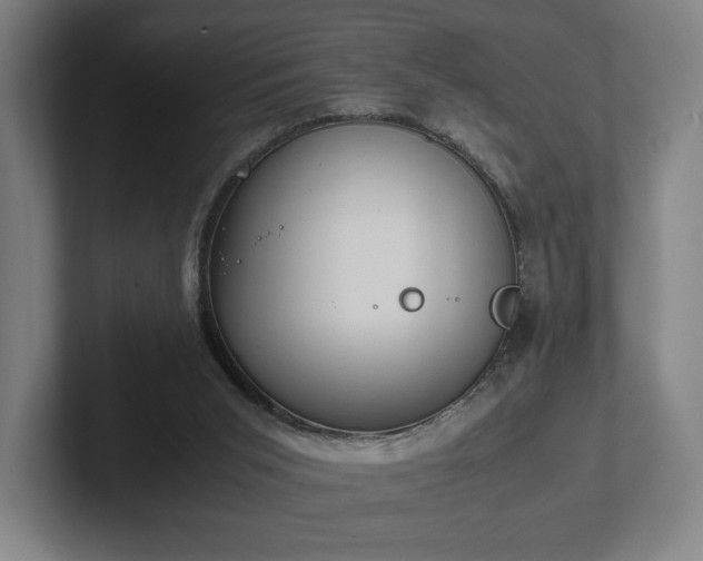 X0000101990015200807251235