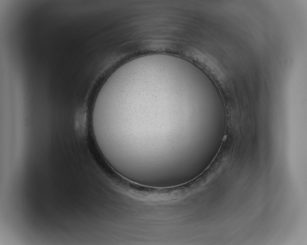 X0000101990016200807251235