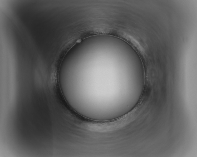 X0000101990017200807251235