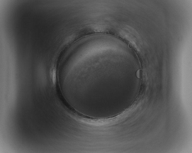 X0000101990019200807251235