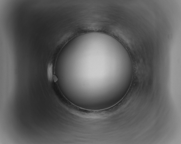 X0000101990020200807251235