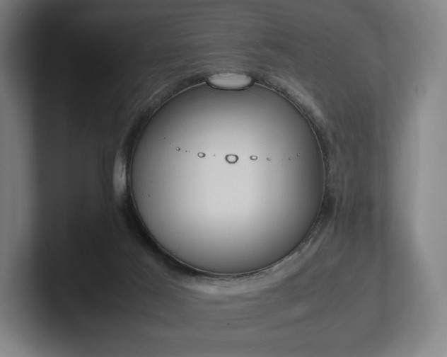 X0000101990021200807251235