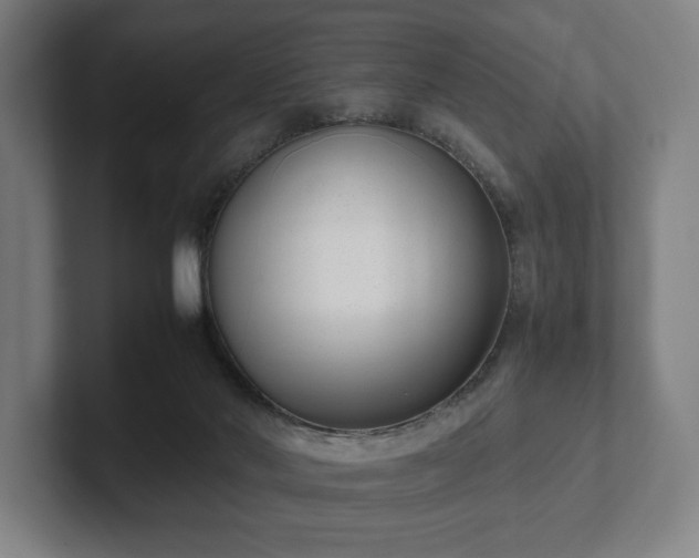 X0000101990022200807251235