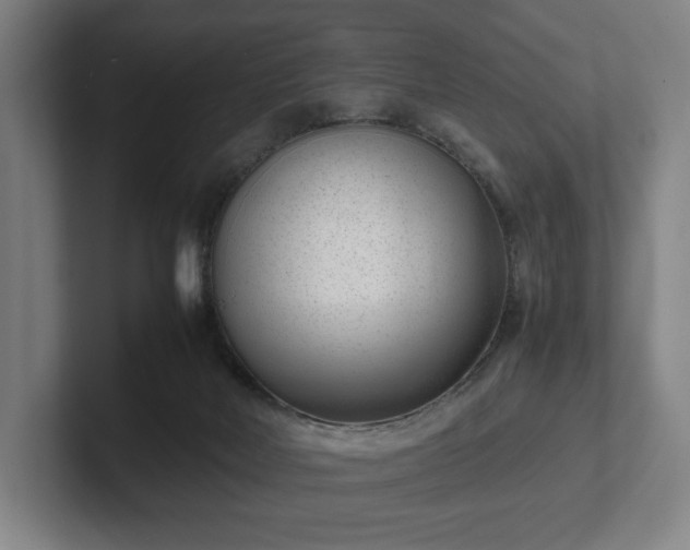 X0000101990026200807251235