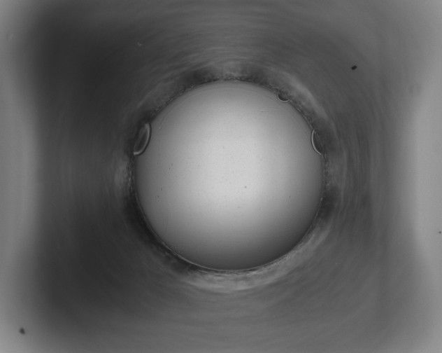 X0000101990029200807251235