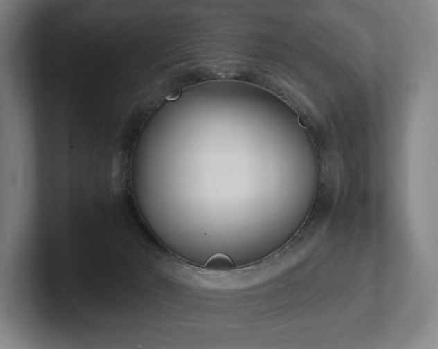 X0000101990030200807251235