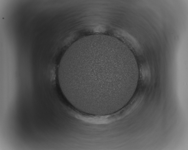 X0000101990032200807251235