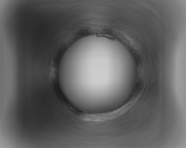 X0000101990033200807251235