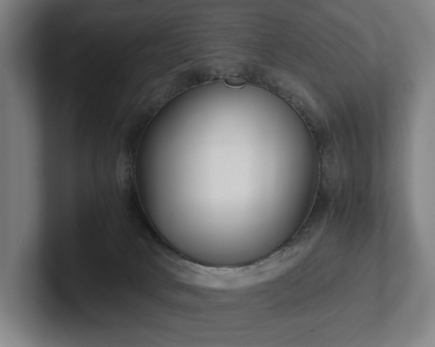 X0000101990034200807251235