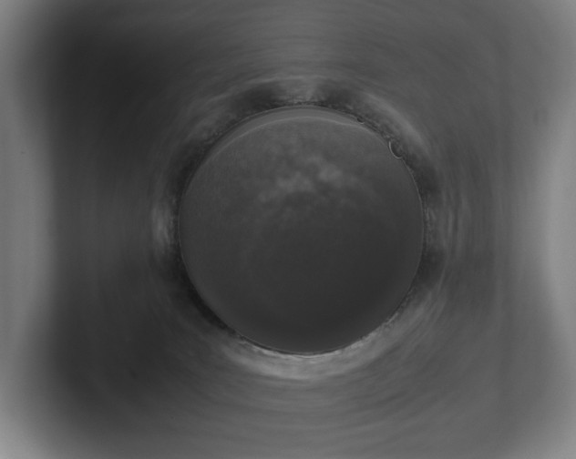 X0000101990035200807251235