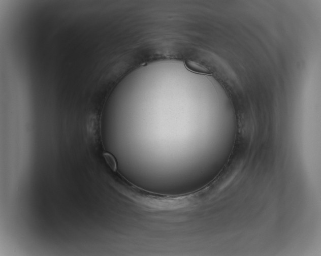 X0000101990036200807251235