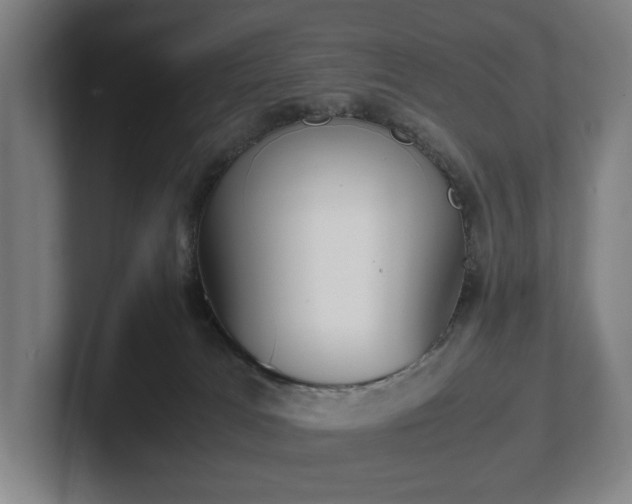 X0000101990037200807251235