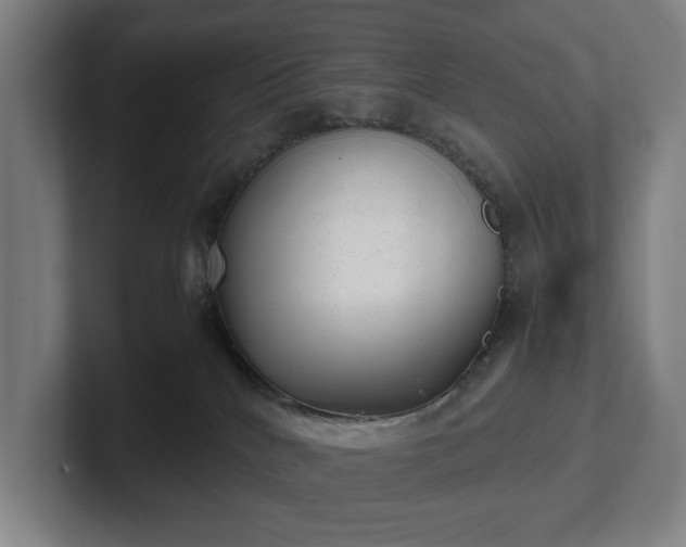 X0000101990040200807251235